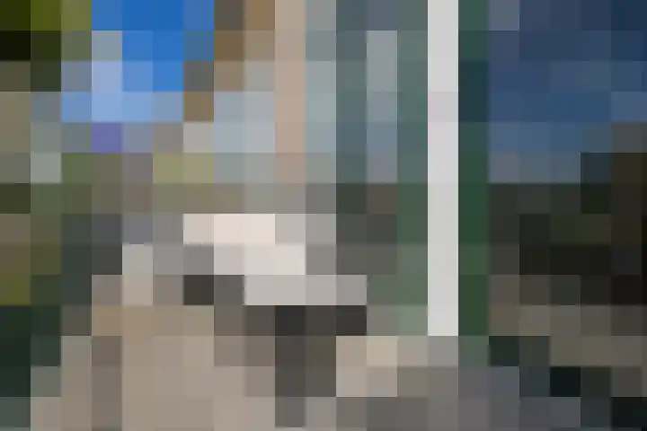 Looplantsoen 164 Utrecht thumbnail 15