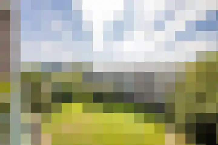 Looplantsoen 164 Utrecht thumbnail 16