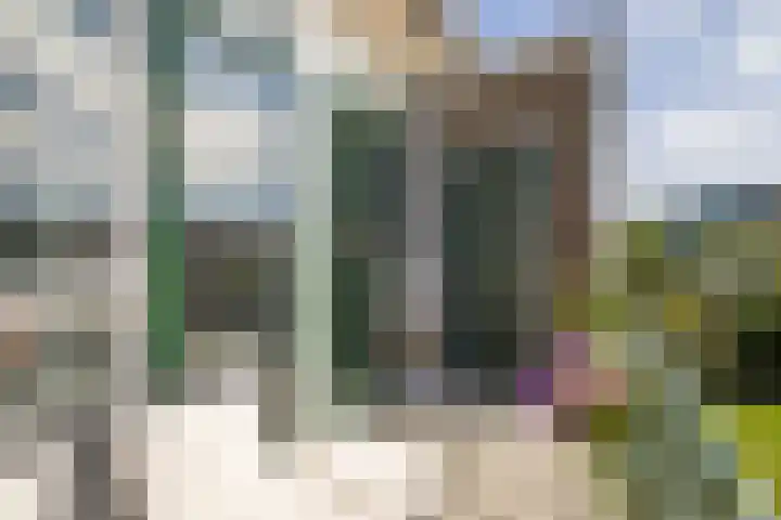 Looplantsoen 164 Utrecht thumbnail 17