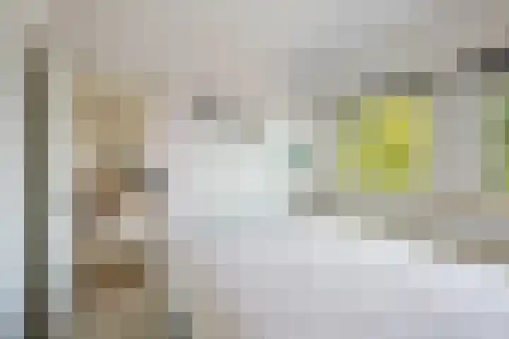 Looplantsoen 164 Utrecht thumbnail 20