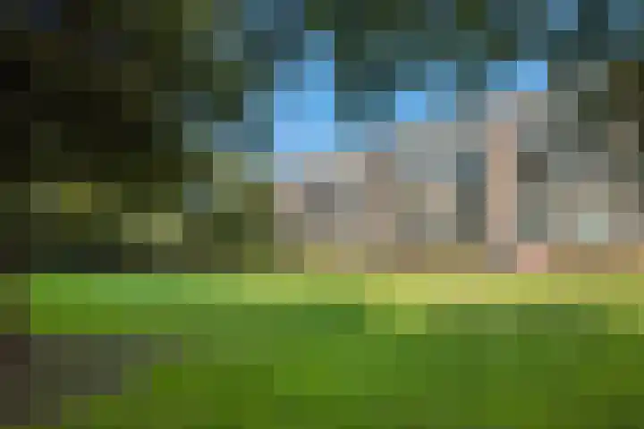 Looplantsoen 164 Utrecht thumbnail 26