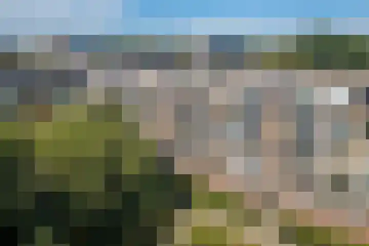 Looplantsoen 164 Utrecht thumbnail 28