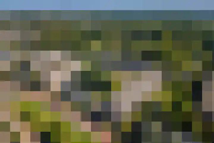 Looplantsoen 164 Utrecht thumbnail 29