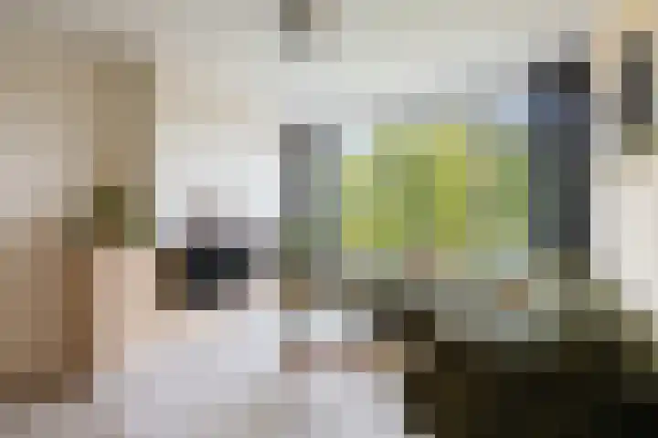 Looplantsoen 164 Utrecht thumbnail 6