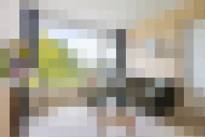 Looplantsoen 164 Utrecht thumbnail 7