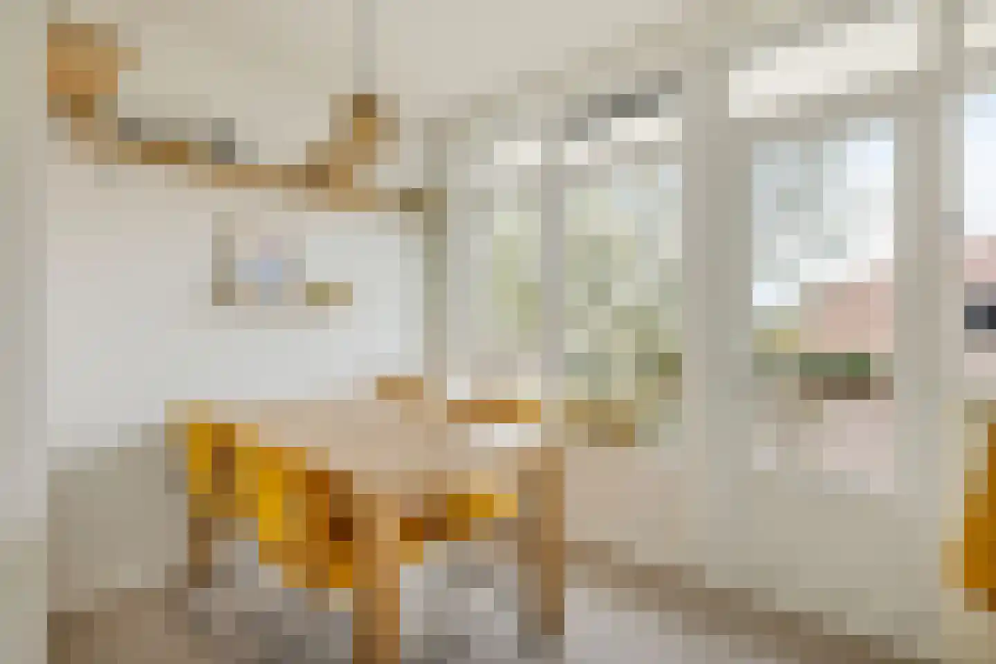 Looplantsoen 22 Utrecht thumbnail 15