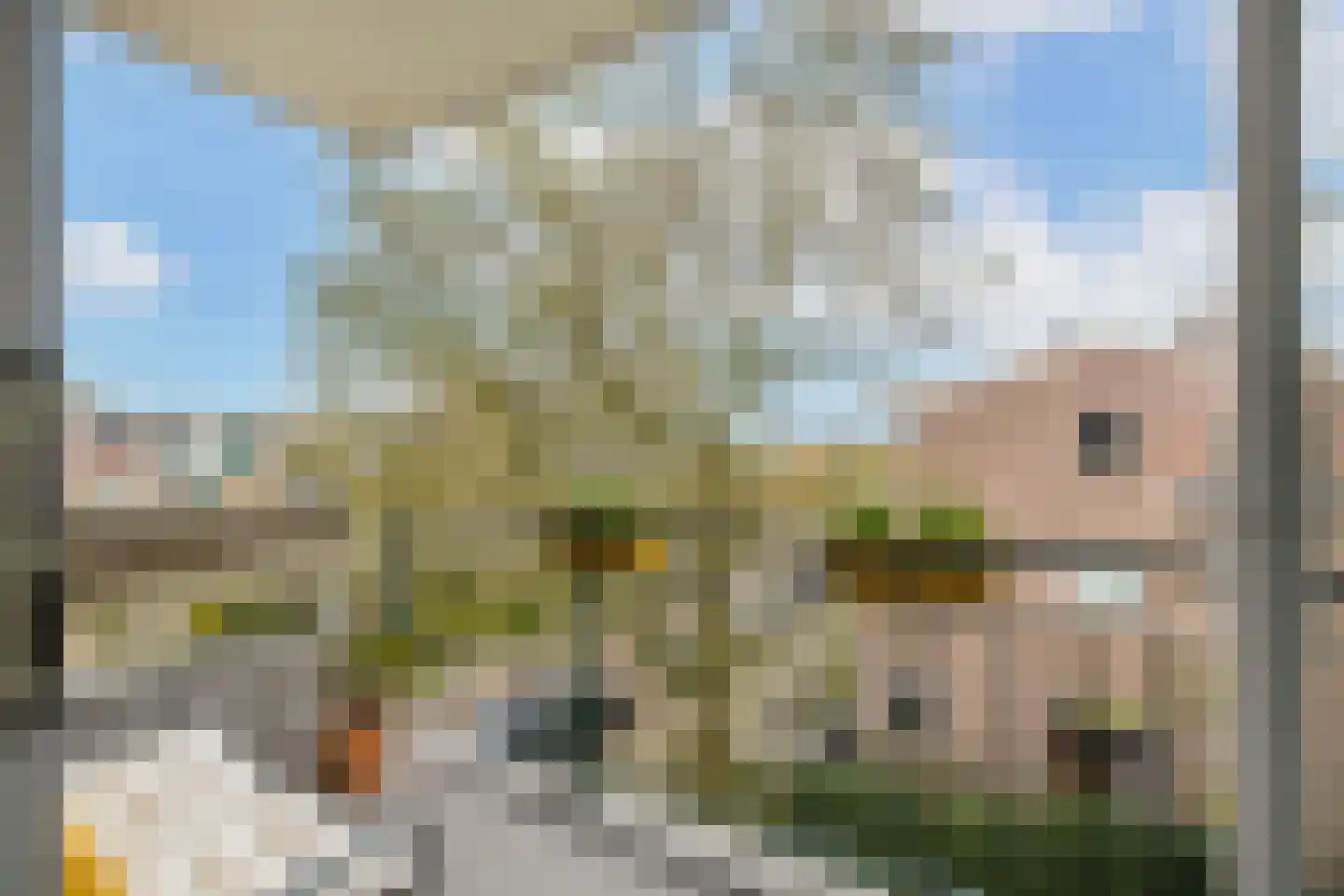 Looplantsoen 22 Utrecht thumbnail 16