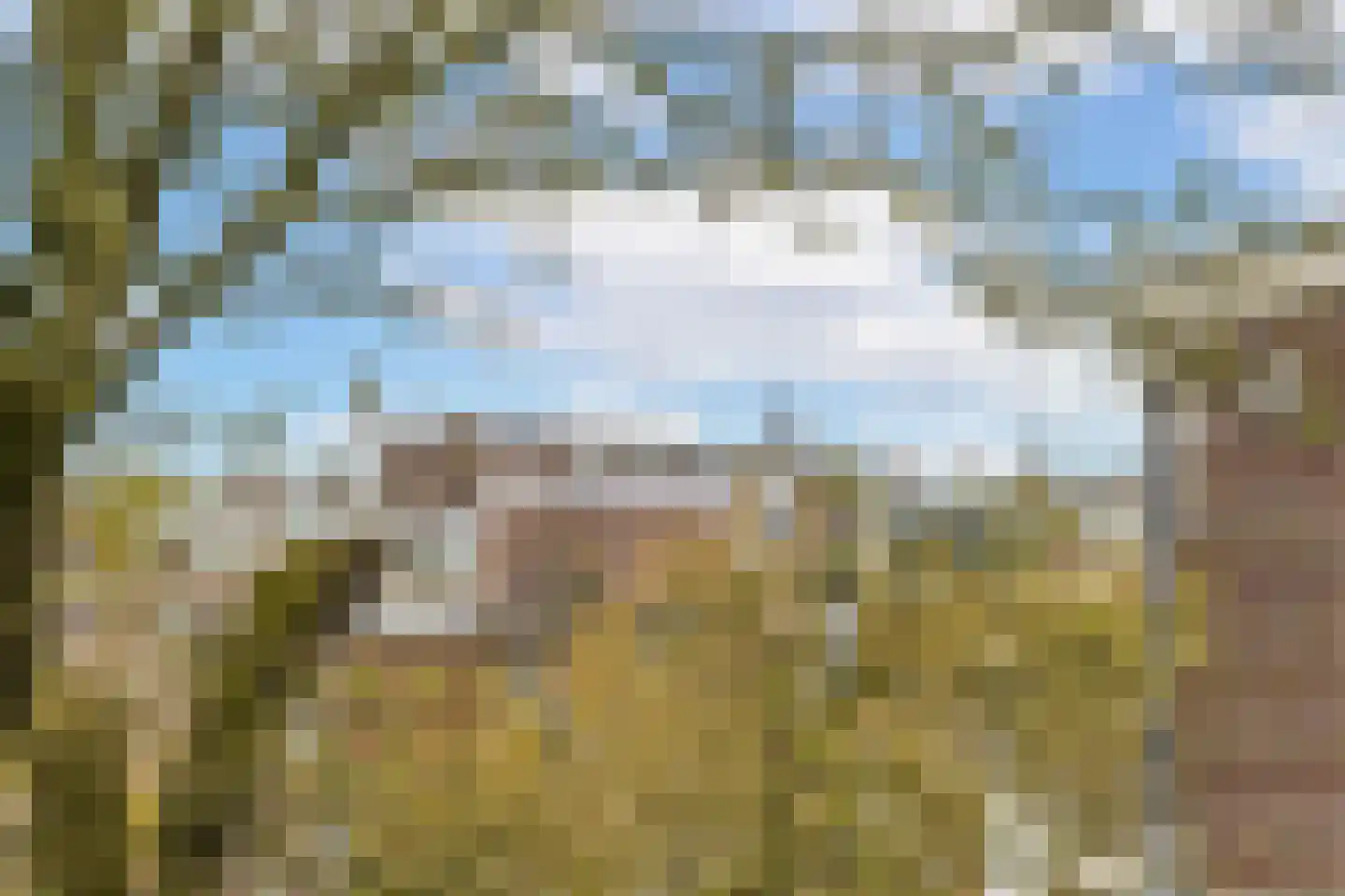 Looplantsoen 22 Utrecht thumbnail 17