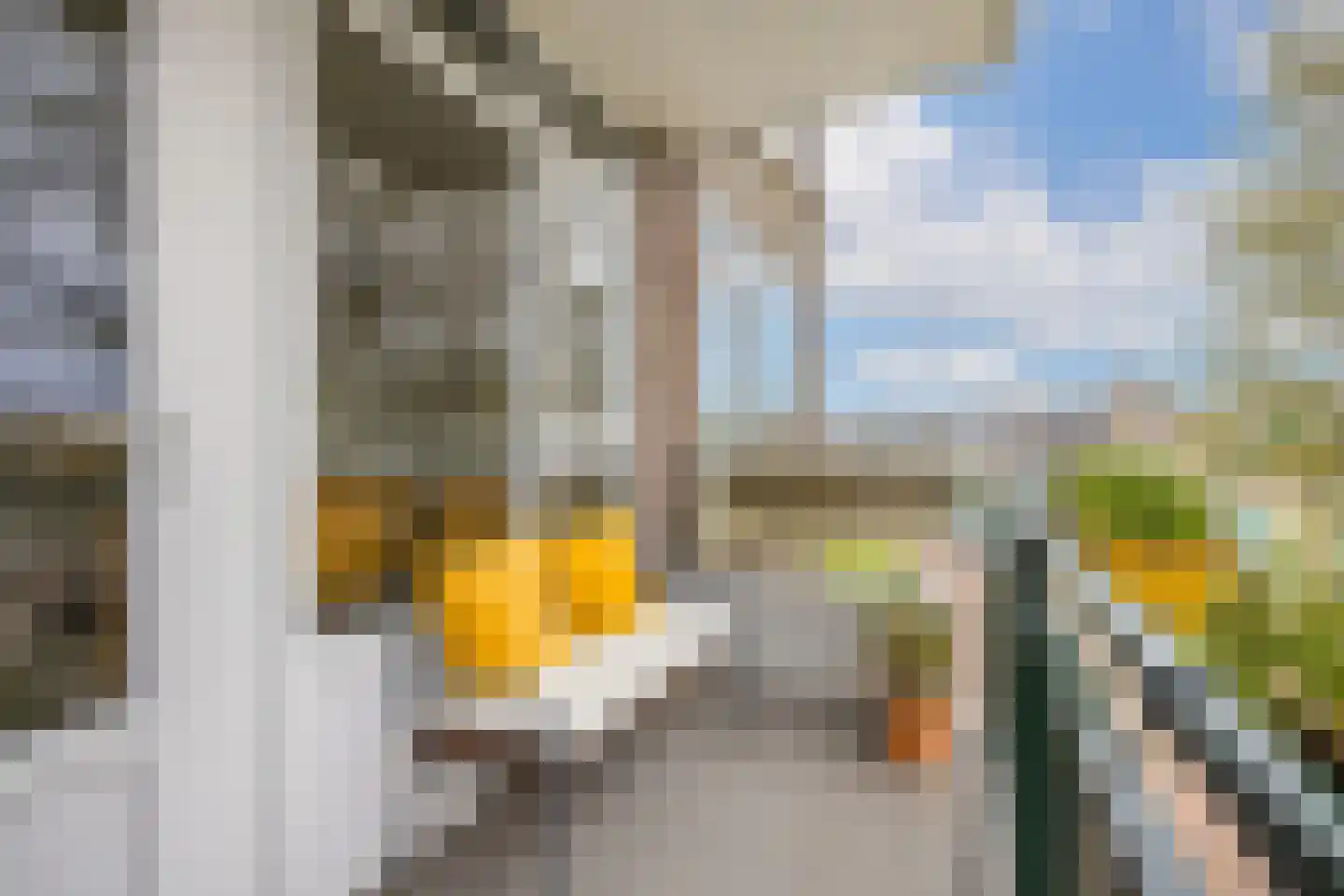 Looplantsoen 22 Utrecht thumbnail 18