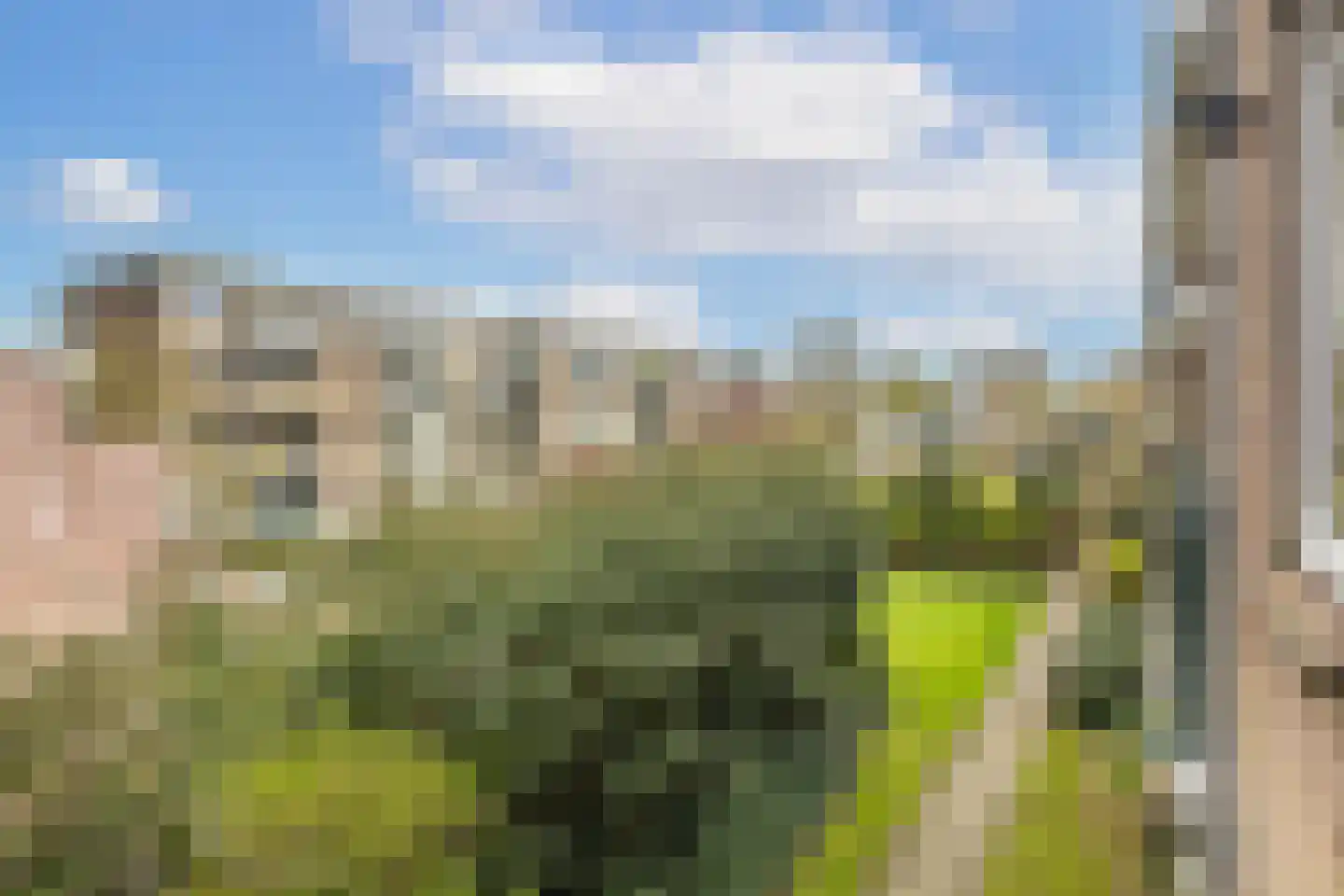 Looplantsoen 22 Utrecht thumbnail 20