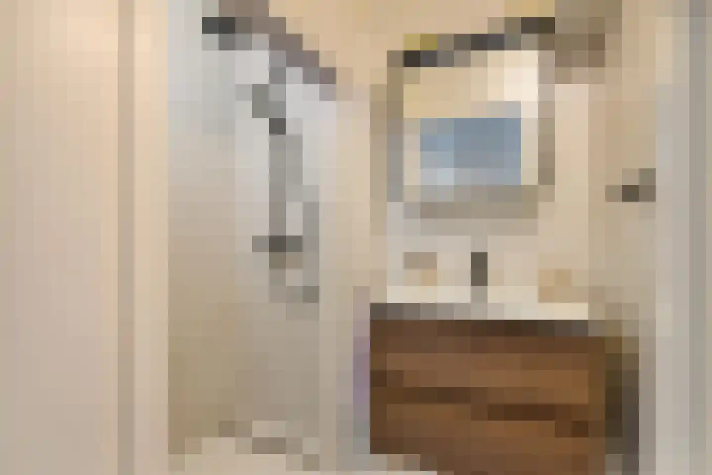 Looplantsoen 22 Utrecht thumbnail 23