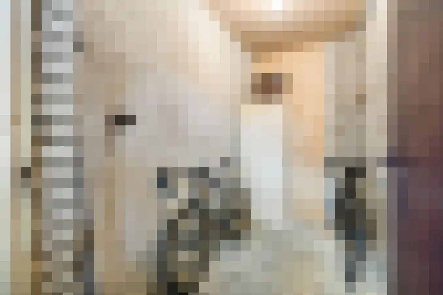 Looplantsoen 22 Utrecht thumbnail 29
