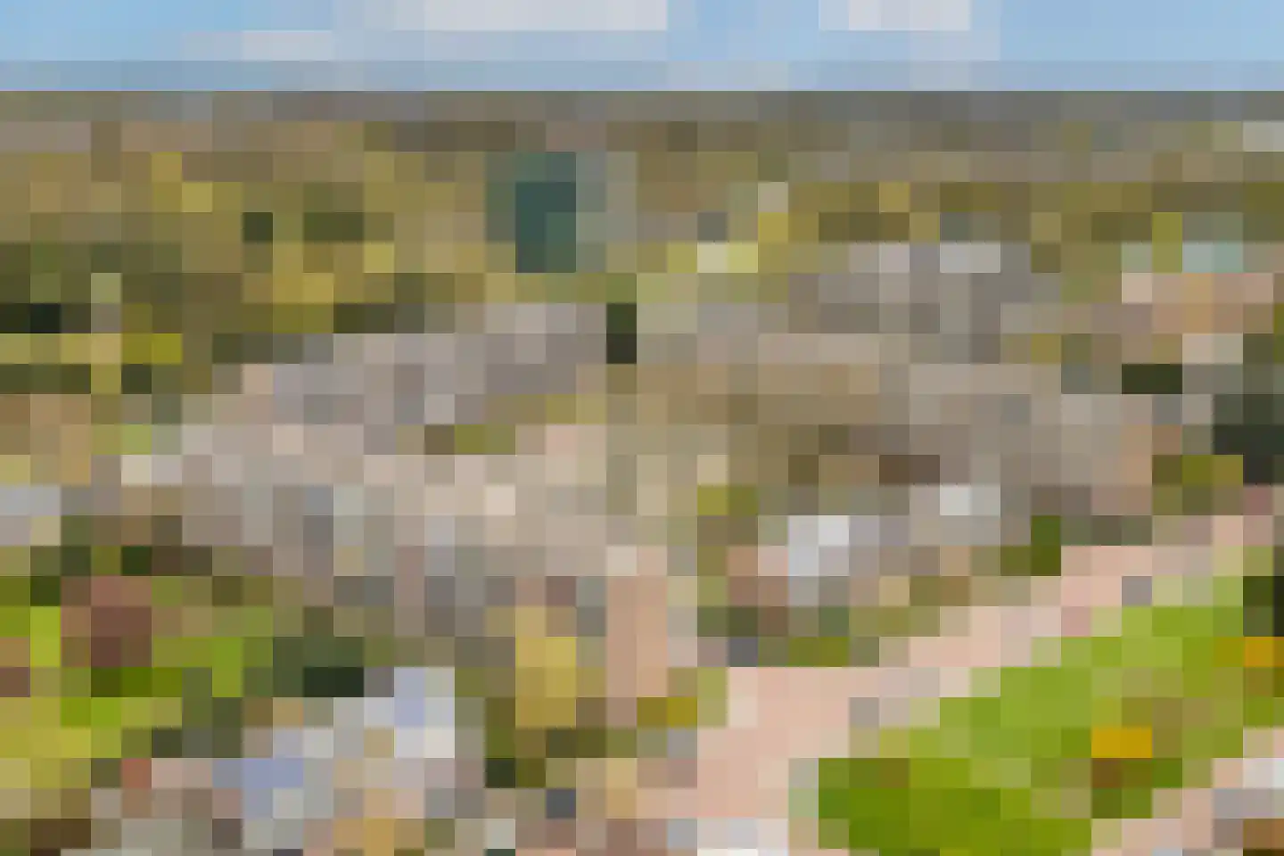 Looplantsoen 22 Utrecht thumbnail 30