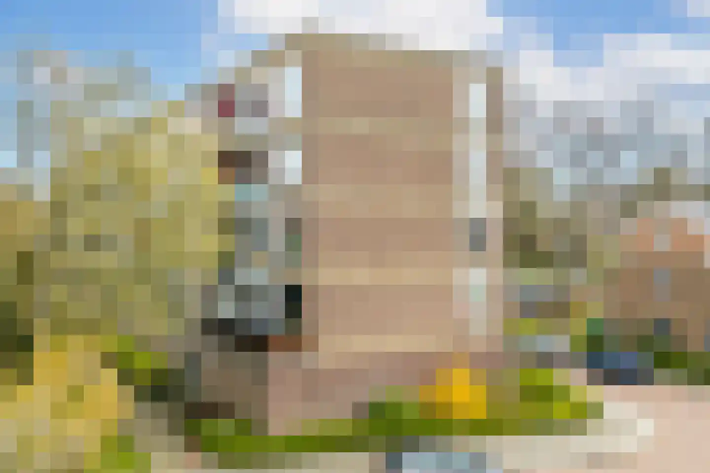 Looplantsoen 22 Utrecht thumbnail 32