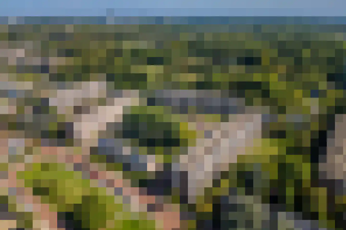 Looplantsoen 22 Utrecht thumbnail 35