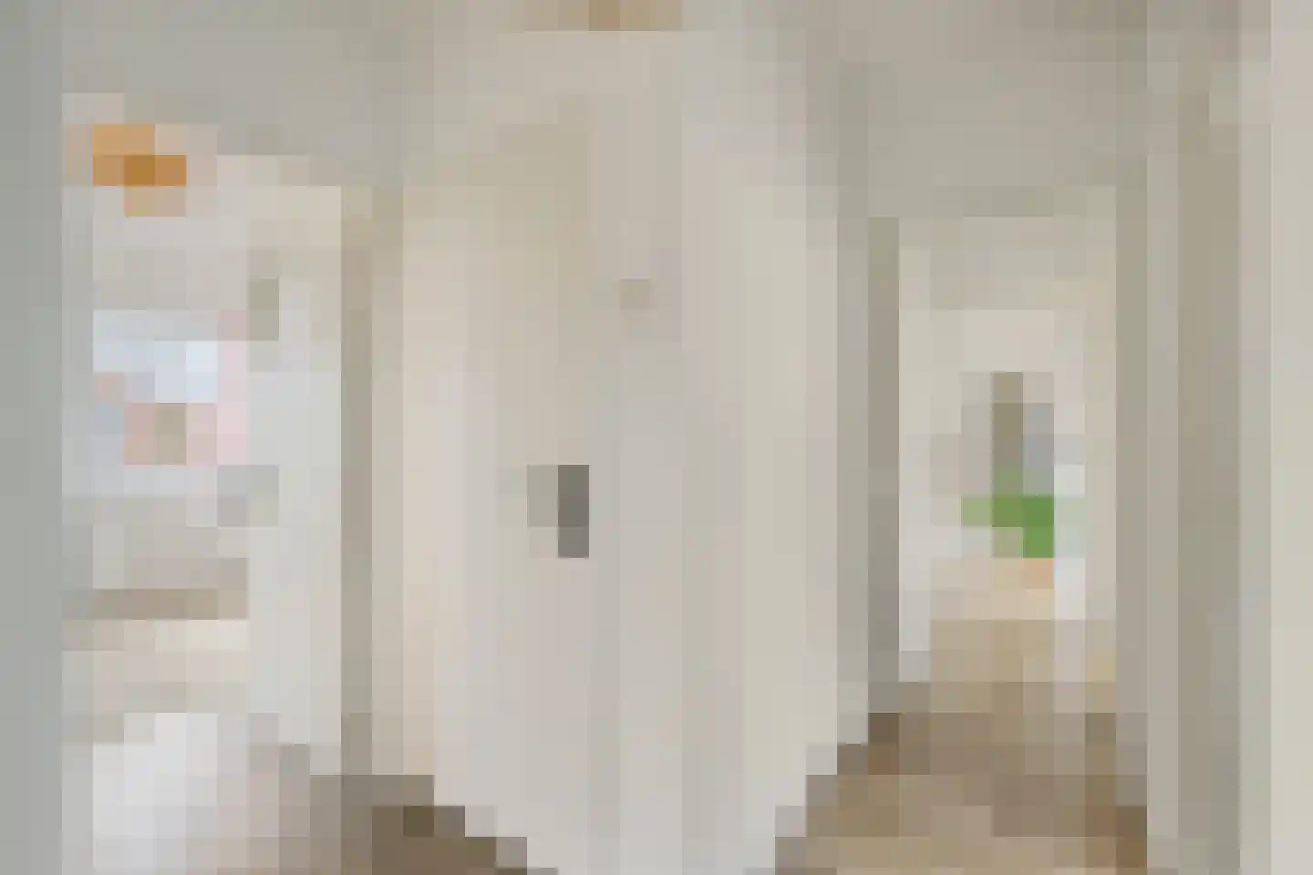 Looplantsoen 22 Utrecht thumbnail 7