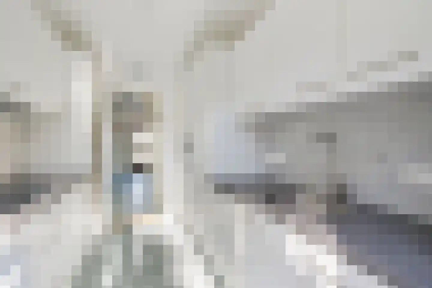 Looplantsoen 98 Utrecht thumbnail 10