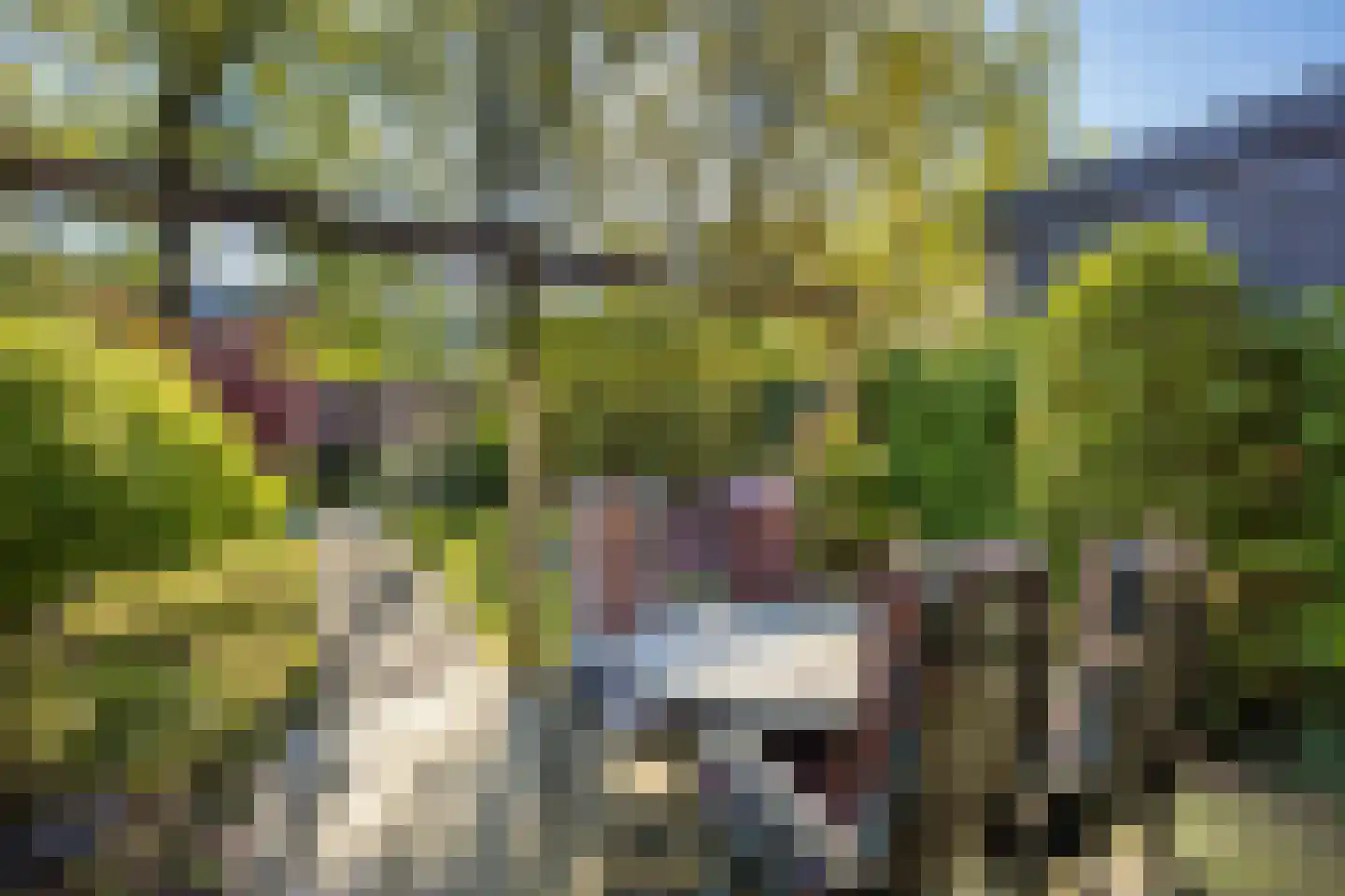Looplantsoen 98 Utrecht thumbnail 11