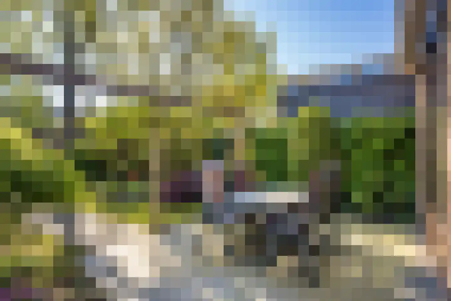 Looplantsoen 98 Utrecht thumbnail 12