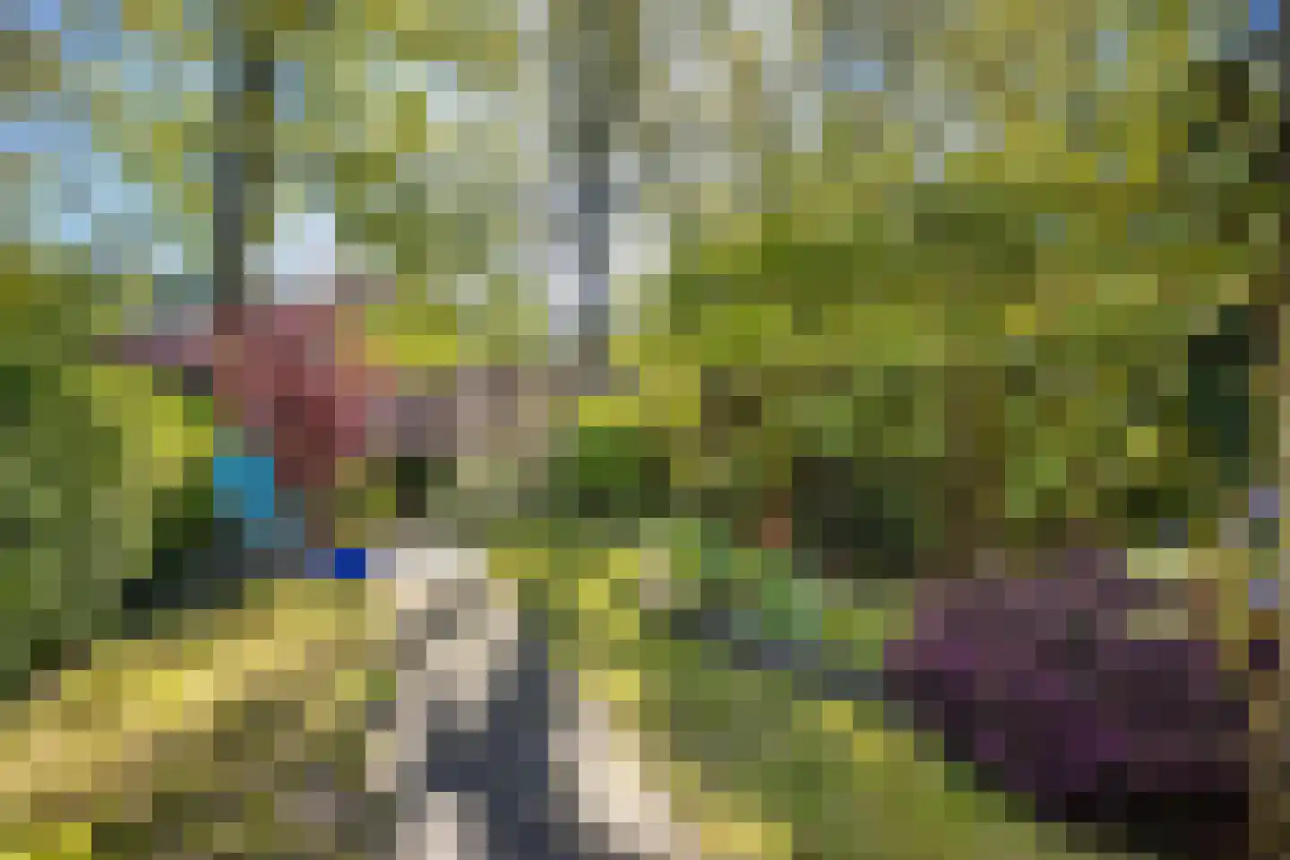 Looplantsoen 98 Utrecht thumbnail 13