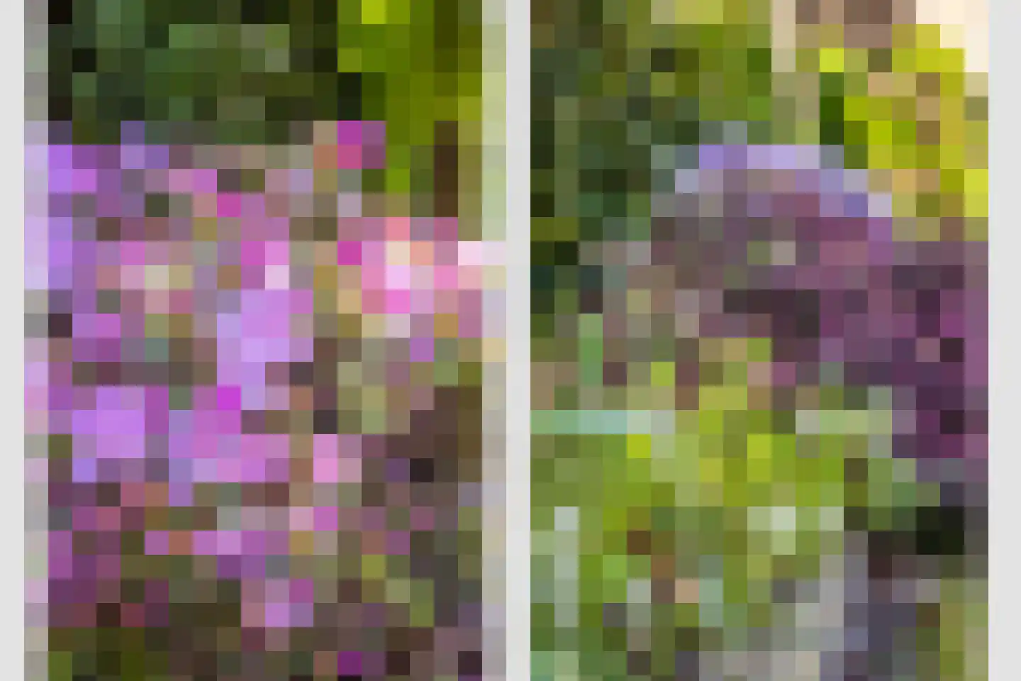 Looplantsoen 98 Utrecht thumbnail 14