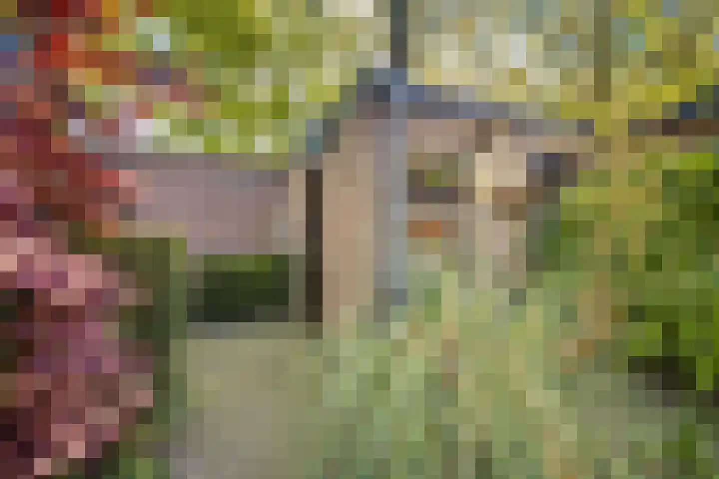 Looplantsoen 98 Utrecht thumbnail 15