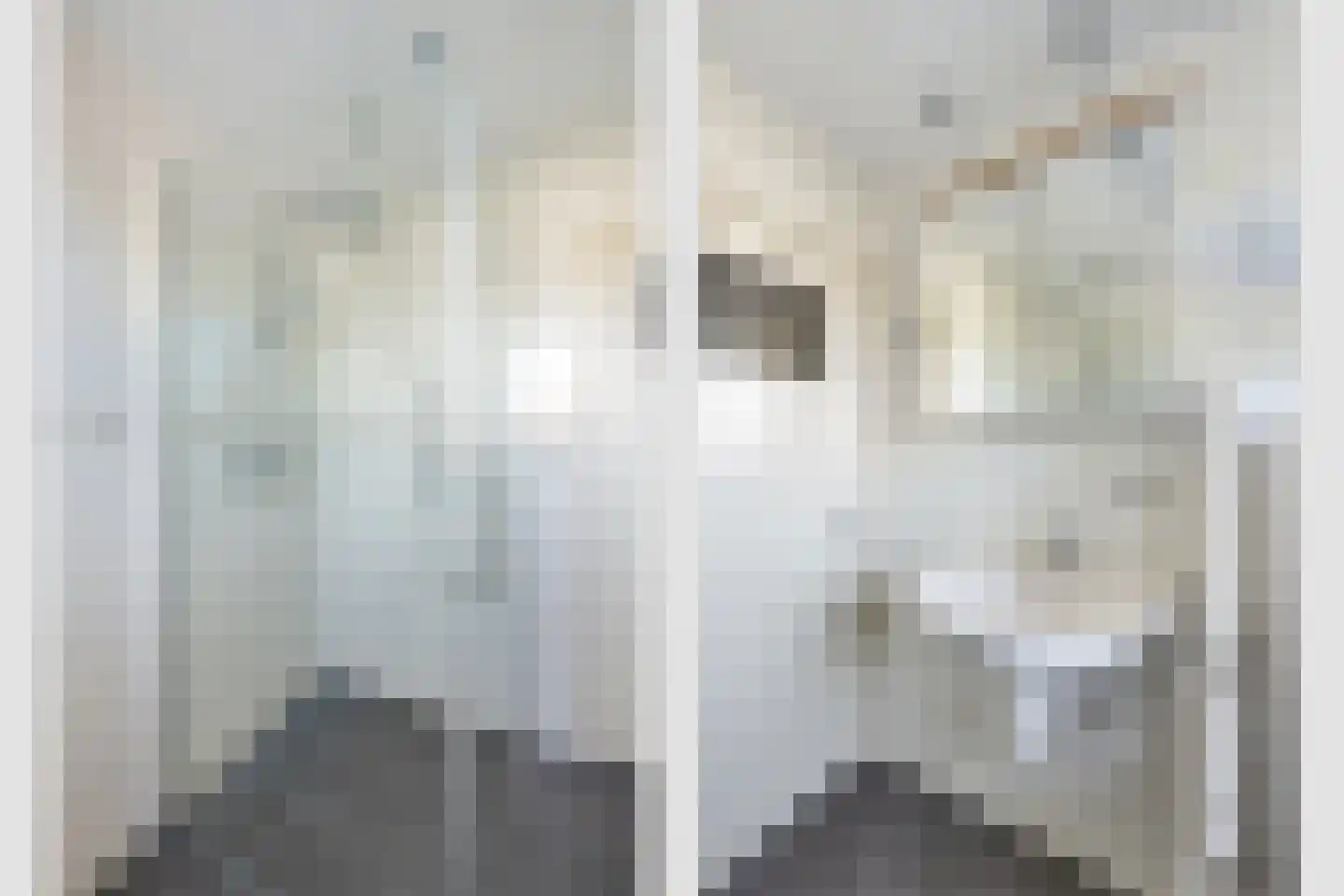 Looplantsoen 98 Utrecht thumbnail 28