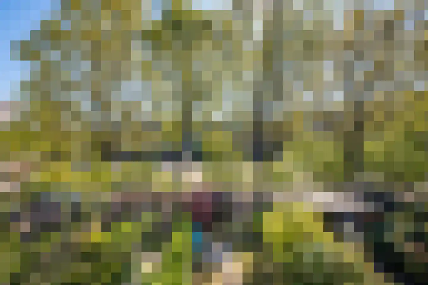 Looplantsoen 98 Utrecht thumbnail 32