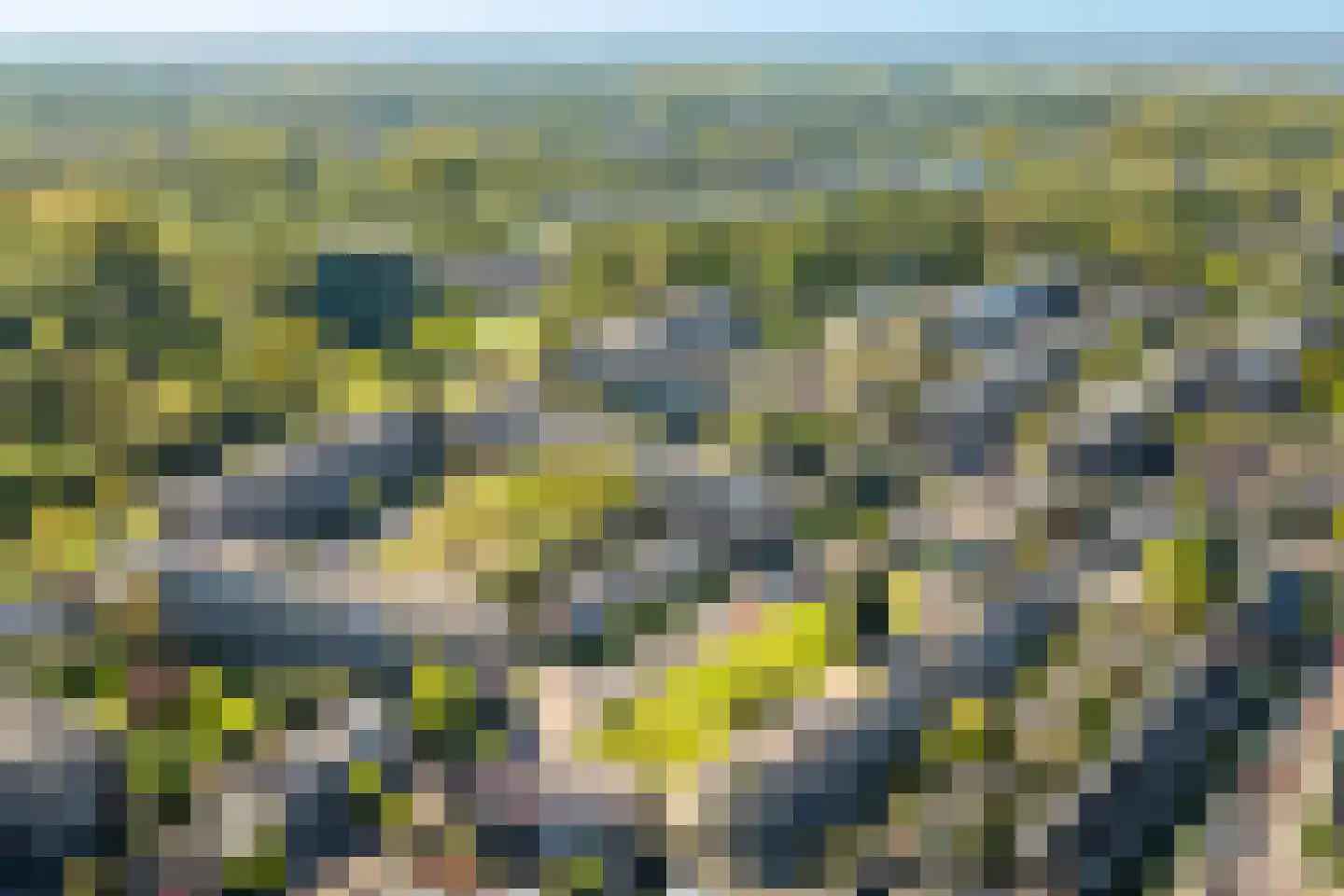 Looplantsoen 98 Utrecht thumbnail 37