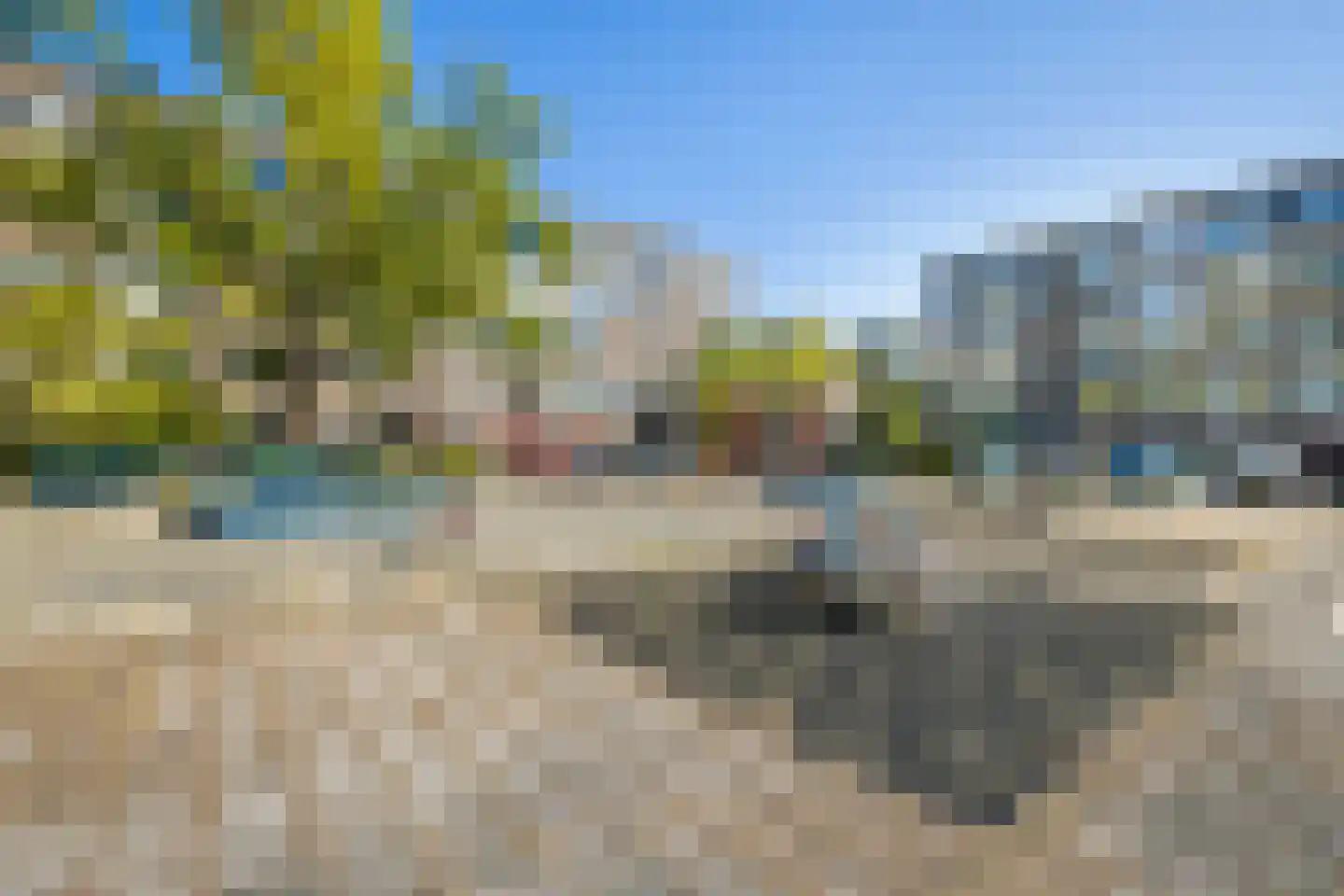 Looplantsoen 98 Utrecht thumbnail 38