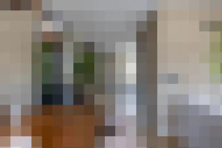 Loopplank 36 Groningen thumbnail 11
