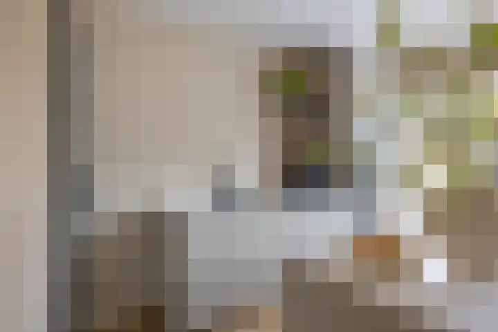 Loopplank 36 Groningen thumbnail 15