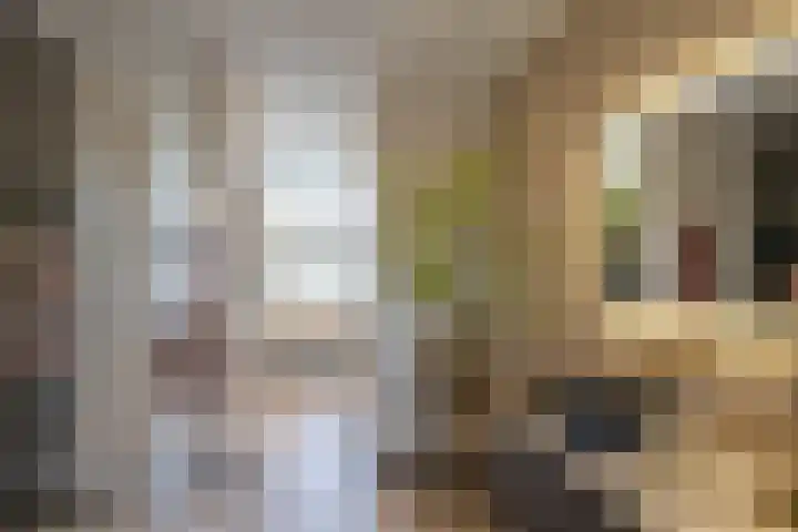 Loopplank 36 Groningen thumbnail 34