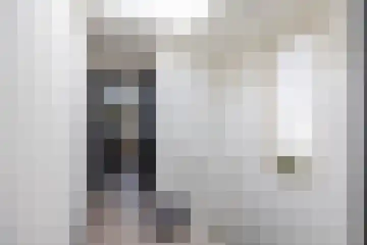 Loopplank 36 Groningen thumbnail 37