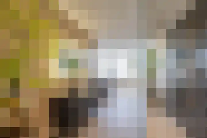 Loopplank 36 Groningen thumbnail 4