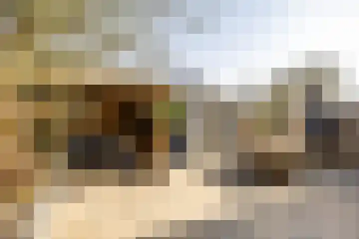 Loopplank 36 Groningen thumbnail 41
