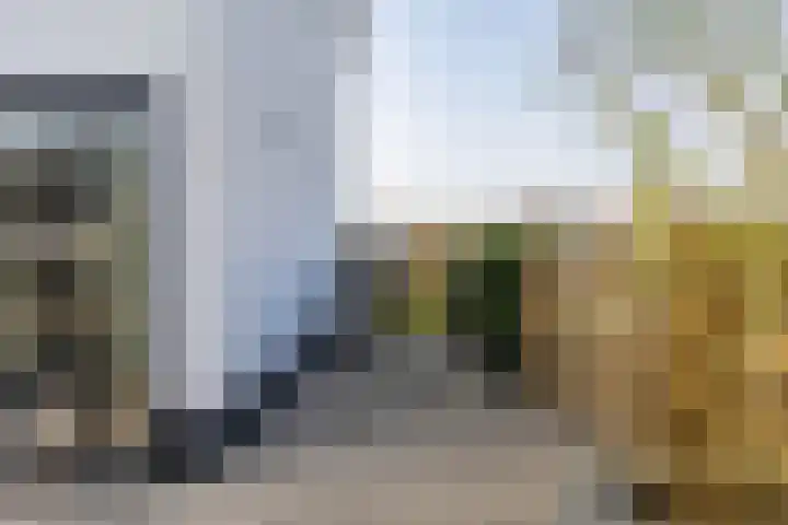 Loopplank 36 Groningen thumbnail 44