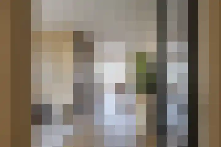 Loopplank 36 Groningen thumbnail 7