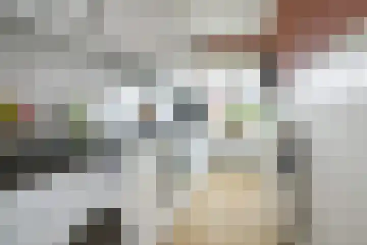 Loopschansstraat 103 A Breda thumbnail 21