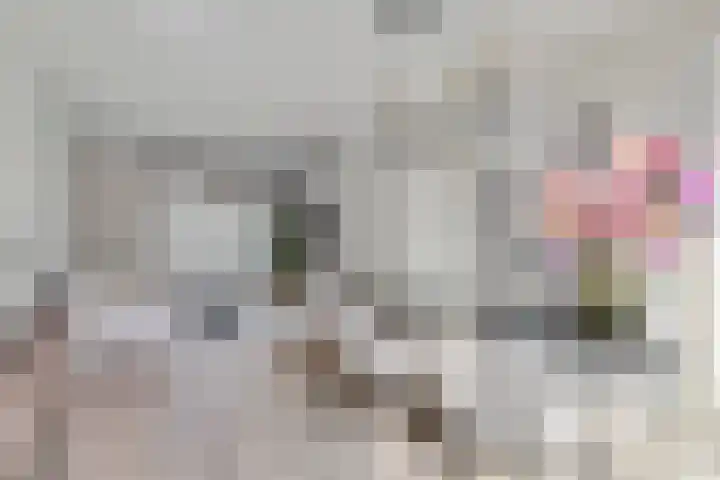 Loopschansstraat 3 Breda thumbnail 11