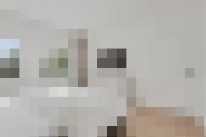 Loopschansstraat 3 Breda thumbnail 19