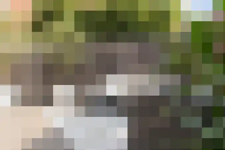 Loopschansstraat 3 Breda thumbnail 31