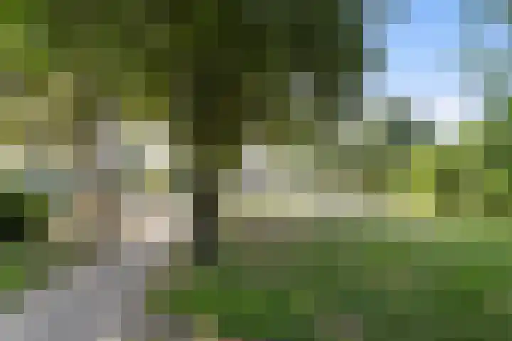 Loopschansstraat 3 Breda thumbnail 32