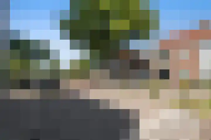 Loopschansstraat 3 Breda thumbnail 33