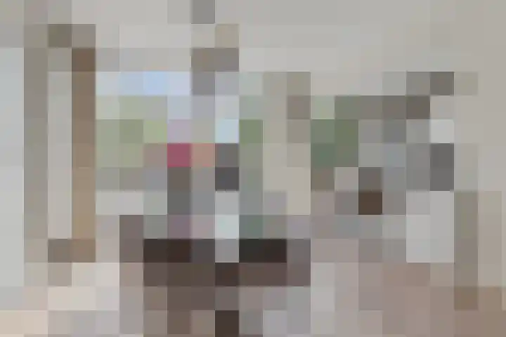 Loopschansstraat 3 Breda thumbnail 8