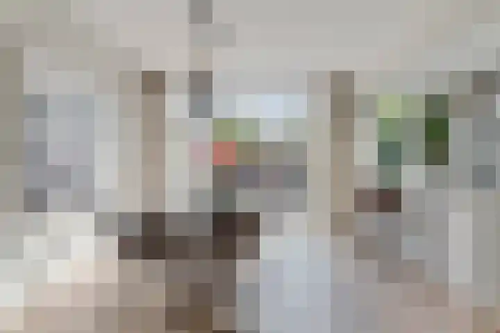 Loopschansstraat 3 Breda thumbnail 9
