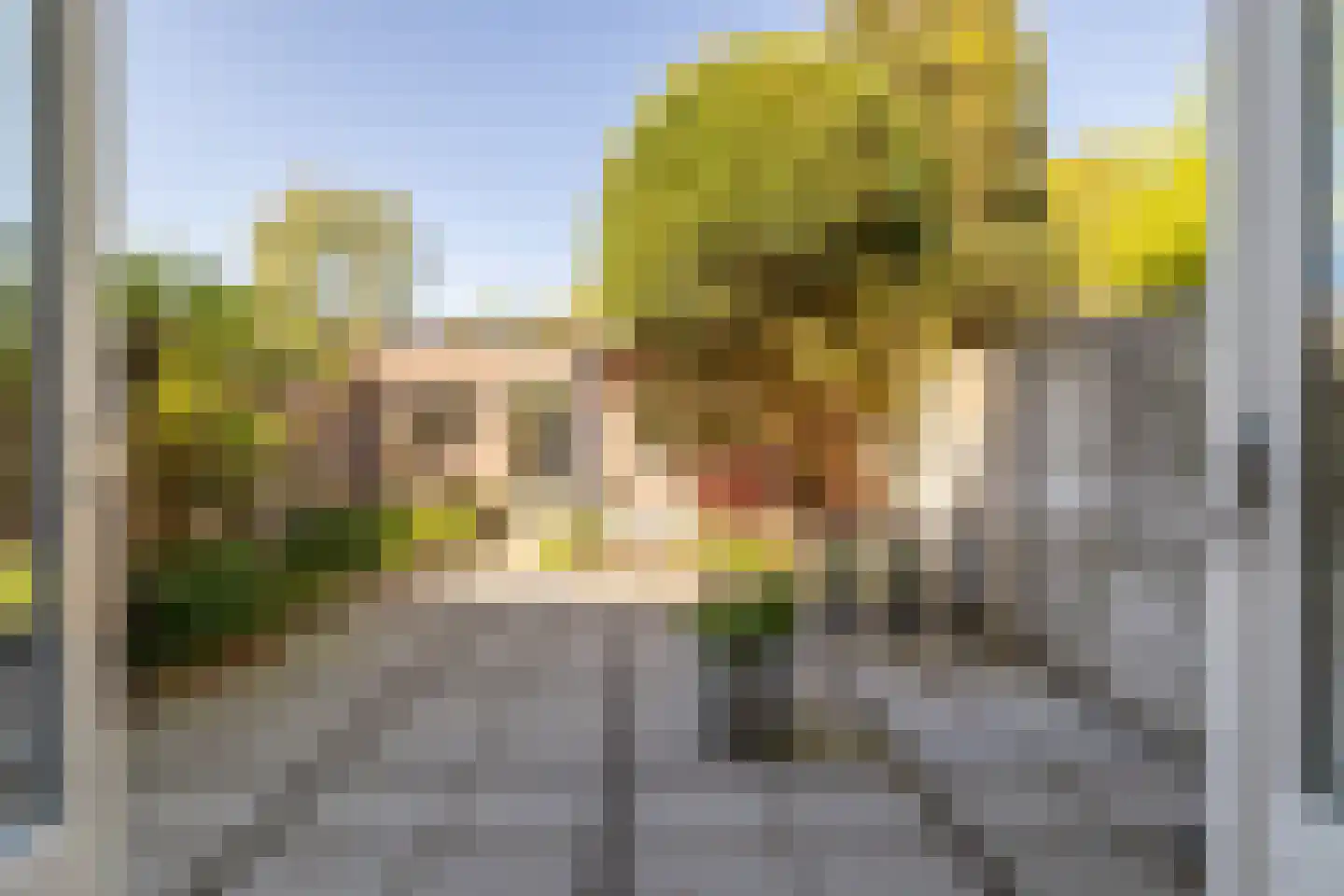 Loopschansstraat 48 Breda thumbnail 21