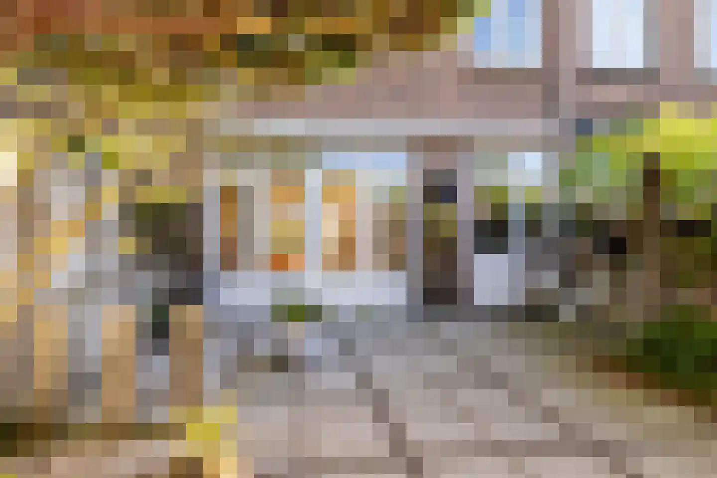 Loopschansstraat 48 Breda thumbnail 24
