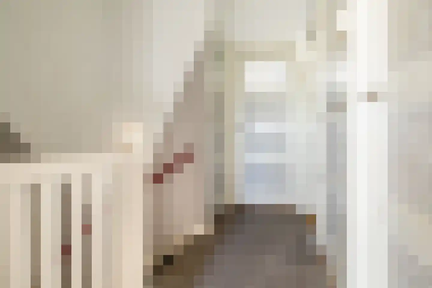 Loopschansstraat 48 Breda thumbnail 24