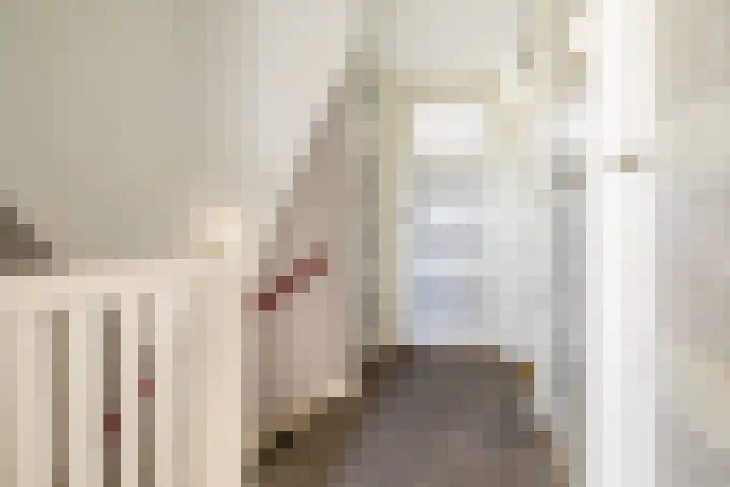 Loopschansstraat 48 Breda thumbnail 27